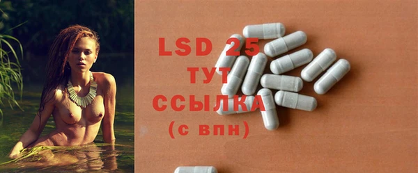 хмурый Бородино