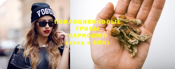 трава Бронницы