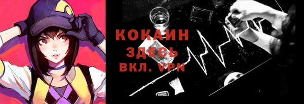 хмурый Бородино