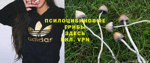 трава Бронницы