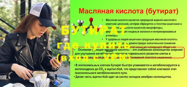 хмурый Бородино
