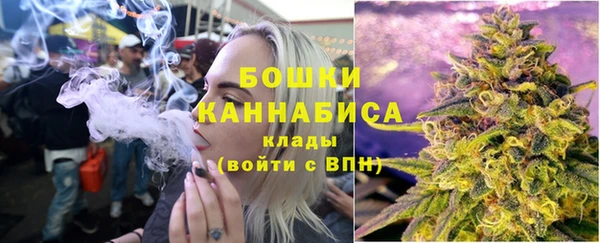 хмурый Бородино