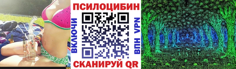 маркетплейс официальный сайт дарнет шоп Выборг Псилоцибиновые грибы прущие грибы