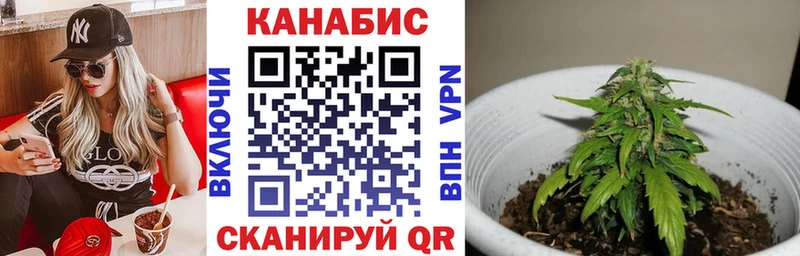 Шишки марихуана сатива Выборг